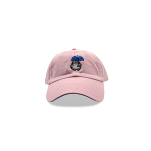 Totoro Hat