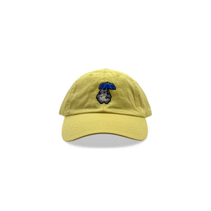 Totoro Hat