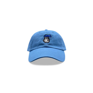 Totoro Hat