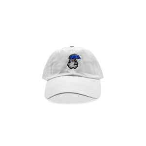 Totoro Hat