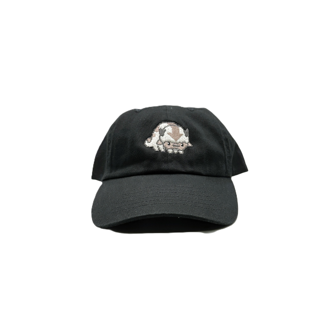 AVATAR THE LAST AIRBENDER APPA DAD HAT